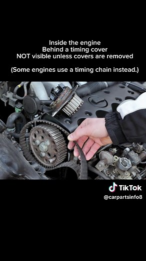 Understanding Timing Belts for Your Car Maintenance
