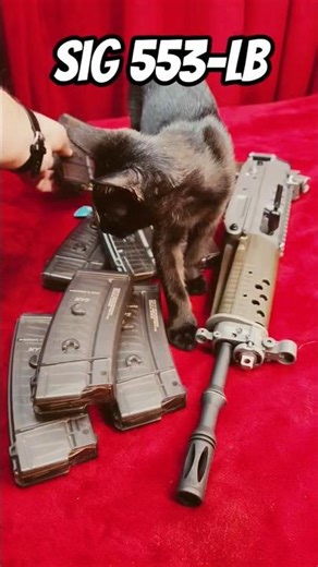 Stay Gold 223 Rifle Collection