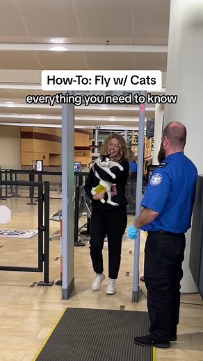 How-To: Fly w/ Cats! Everything you need to know! LMK if have any questions! #cattraining #vanlifecat #cats