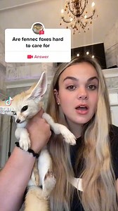 The cons of getting Fennec foxes as pets