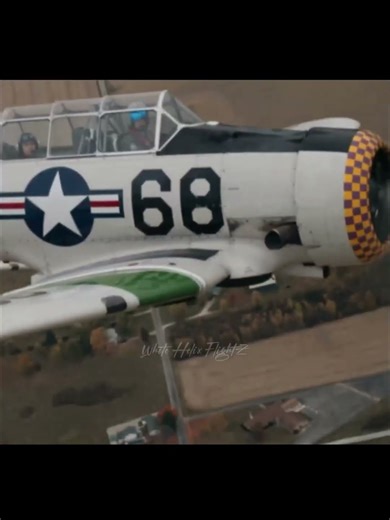 POV: Your the coolest 1930s plane 🤩 #lifeisbutadream #aviation #airplane