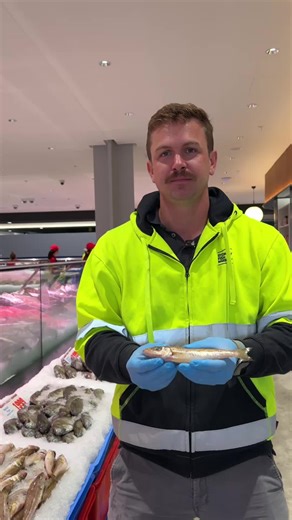 Discovering Eastern School Whiting at Sydney Fish Market