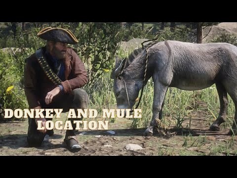 Red Dead Redemption 2 *DONKEY AND MULE LOCATION