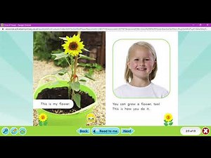 FS2 Reading Task Bug club demonstration