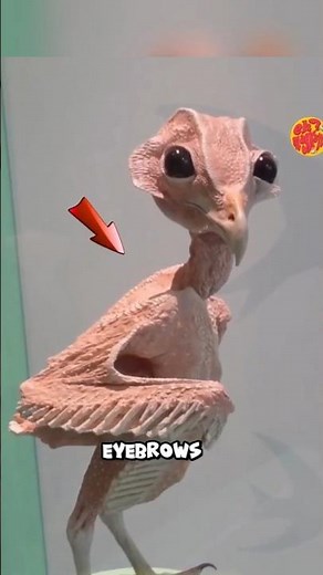 0wl-The Alien Bird You Never Knew Existed