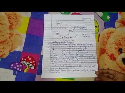 BEVAE IGNOU Assignment 2026 BAM course 1st year assignment