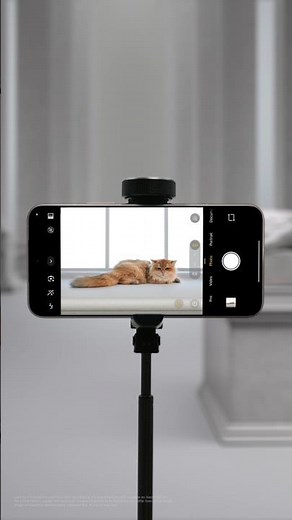 5x optical zoom on the Xiaomi 15T Pro