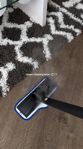 Steam Cleaning Tips for a Pristine Home