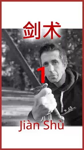 Jian Sword Moves in Chinese (1/2) #martialarts #wushu #sword