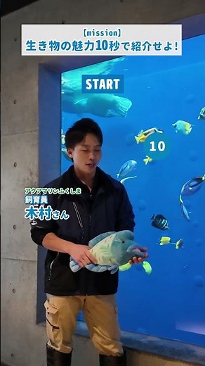 【Mission】生き物の魅力を10秒で紹介せよ！マルカワカジカとメガネモチノウオ