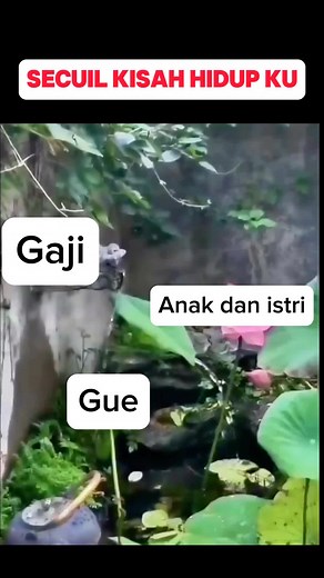 Understanding the Role of Geckos in Nature