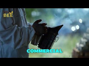 Professional Bee & Wasp Removal Services | Safe & Fast Pest Control