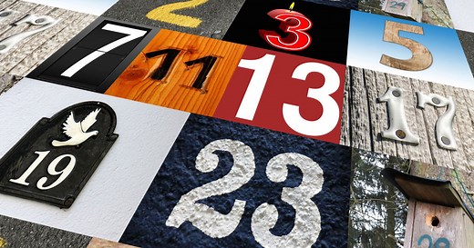 Quais são os Números Primos?