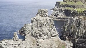 Rathlin Island’s puffins: We have quite a lot of people who arrive and say, ‘So, where exactly are the penguins?’