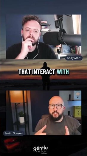 Where does the Internal Family Systems model sit?