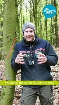Marking Trees: Forester Florian Explains Forest Graffiti