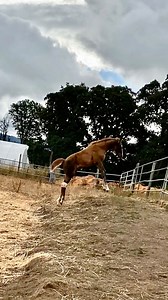 5.6K views · 1K reactions | Play time at Helping Hands!! it’s always...