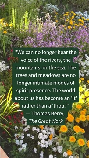 Thomas Berry Quote from "The Great Work"