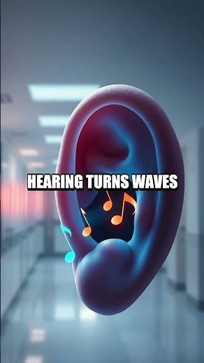 Beyond Sight The Science of Our Five Senses