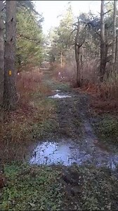 3.1M views · 4.3K reactions | On November 30th, two hunters discovered a gas pipeline leak on state land. When they called the pipeline company to report the leak, they were informed that nothing could be done until after Christmas. Via ViralHog | WHAT WE SEEE | Facebook