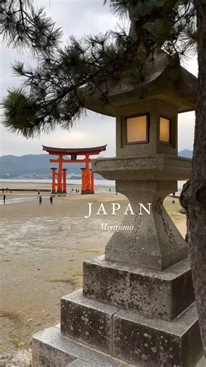 ⛩️ Miyajima Island: Home of the Famous Floating Torii! 🌊✨ Step onto Miyajima Island, also known as Itsukushima, and discover one of Japan’s most iconic sights: the stunning “floating” torii gate rising from the sea. Whether it’s sunrise, sunset, or high tide, this shrine gate creates a magical view you’ll never forget. 🌿 Travel Tips: • Visit during high tide to see the torii gate appear to float on water 🌊 • Sunrise or sunset gives the most dramatic photo opportunities 📸 • Explore the island