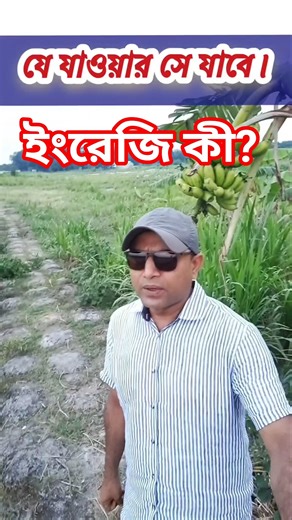 যে যাওয়ার সে যাবে। ইংরেজি কী? Learn English Painlessly ❤️