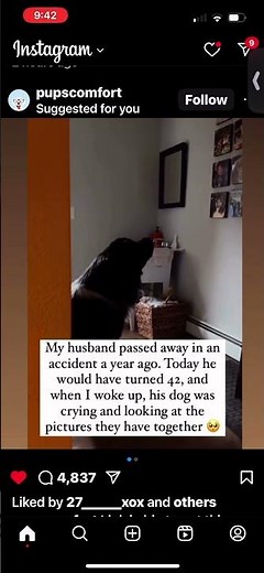 Dog crying for owner that died