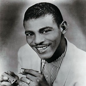 Mellow Down Easy Harmonica Tutorial – Get Some Little Walter!