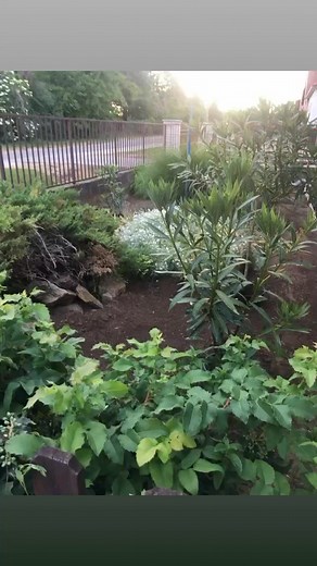 42 reactions | Laci Vetro on Reels | Facebook