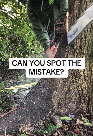 Chainsaw Techniques in Forestry Work