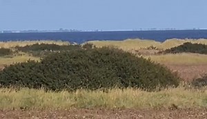 11K views · 32 reactions | Helicopter "crash lands" on Cleethorpes...