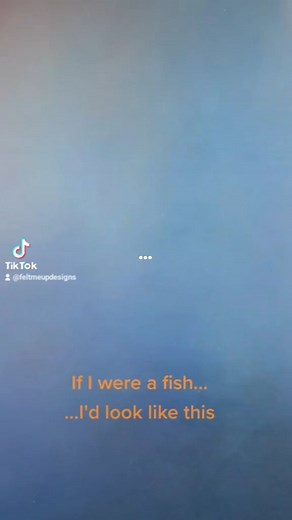 Let's flash back to the fish who started it all! This is Gussie the goldfish! I made him inspired by @hicorook s fabulous tune. It was so joyful and happy! Gussie was also inspired by my pet goldfish that we won at a fair (it was the 80s people didn't know any better!) He luved for over 10 years, kept getting fungus and out lived every fish we ever had by years! If you want a Gussie then head over to my new Kickstarter project to make 100 Gussies | Felt Me Up Designs | Facebook