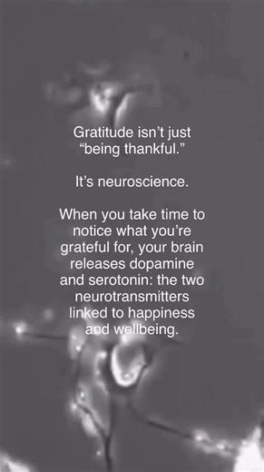 🌟 Rewire Your Brain for Happiness. 🧘🏻‍♀️ Gratitude isn’t just a feeling – it’s a practice that can transform your life! Consistent practice can rewire neural pathways, boosting mood, sleep, and resilience. - Start small: Appreciate tiny moments, like a warm coffee or a stranger’s smile. - Build a habit: Make gratitude a daily ritual, like a workout for your brain. - Strengthen your happiness muscle: The more you practice, the stronger it gets. Ready to shift your mindset? Comment “GRATITUDE” 