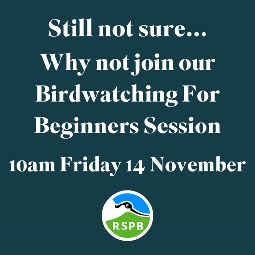 1.7K views · 11 reactions | Next Friday marks the last Birdwatching...