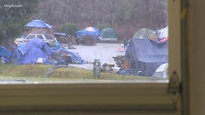 New homeless camp appears after Bellingham sweep near City Hall