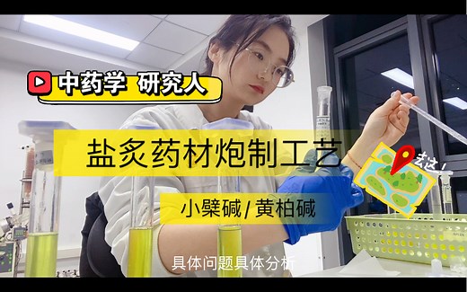 【中药学/研究僧】盐炙药材炮制方法工艺/黄柏药材炮制/盐酸小檗碱/盐酸黄柏碱方法学/缓冲盐hplc方法/中国药典