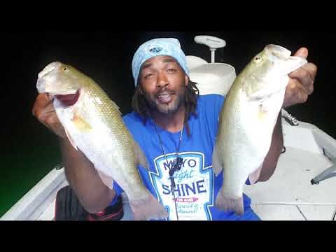 Secret Filet Method How To Bleed Fish