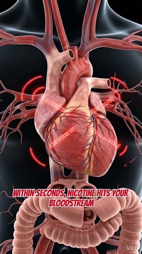 Ever Wondered What One Cigarette Can Do?! | Human Anatomical Visualization