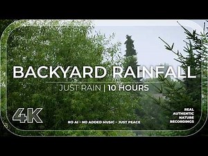 Backyard Rainfall | 10 Hours of Heavy Rain for Deep Sleep & Focus
