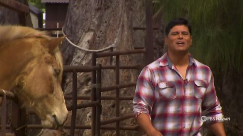 Home is Here:Episode 105 Season 1 Episode 5