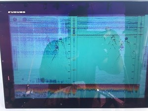 Détection de thons avec mon sondeur TZT 14 FURUNO