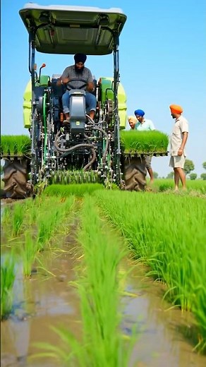 Modern Rice Transplanter | Automatic Paddy Planting Machine in Indian Fields || #farming #shorts