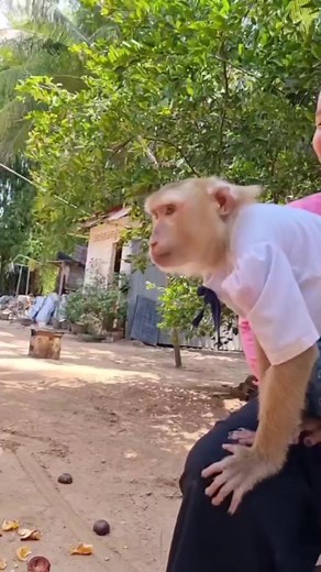 25K views · 681 reactions | YaYa Note on Reels | Facebook