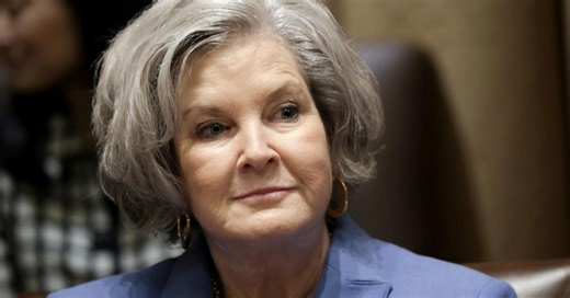 Mike Davis condemns FBI surveillance of Susie Wiles