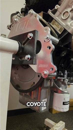 POV: You just spent 10k on a fresh Ford build…