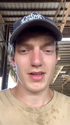 Baby jersey on the way!! #TikTokTaughtMe #farmlife #calves #cow