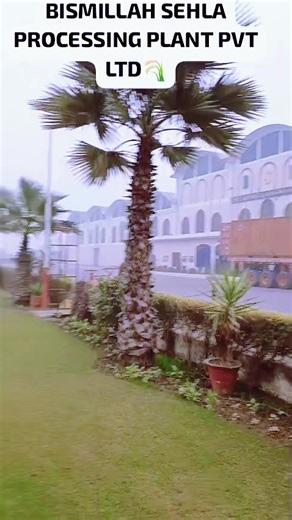 Rizwan Noor35 (@rizwannoor58)’s videos with Ashiyana mera - Lyrics- Error