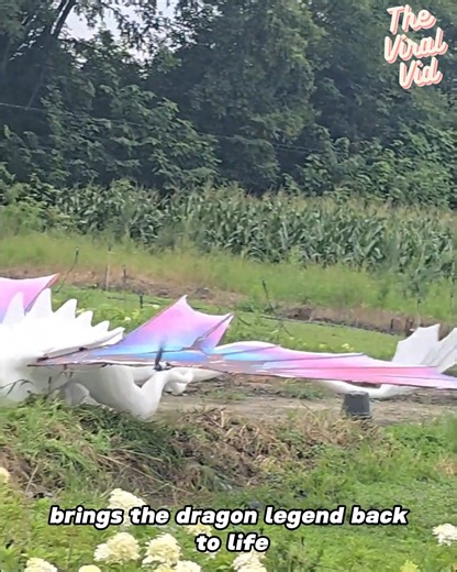 Nighttime Illusion: A Flying Dragon Revealed | The Viral Vid