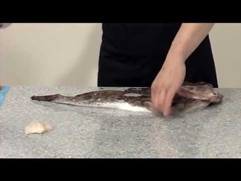 How to skin and fillet a Monkfish | 208