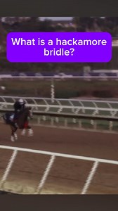 203K views · 3.7K reactions | What is a hackamore bridle, and why is trainer Kevin Attard using one for Breeders’ Cup Filly & Mare Turf conternder Full Count Felicia? We asked him. Learn more about this piece of equipment: https://paulickreport.com/news/breeders-cup/full-count-felicia-working-bitless-ahead-of-filly-mare-turf | Paulick Report | Facebook